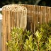 Drótos Nádszövet Nádkerítés 100 x 600 cm - Nádszövetek.Hu Kép