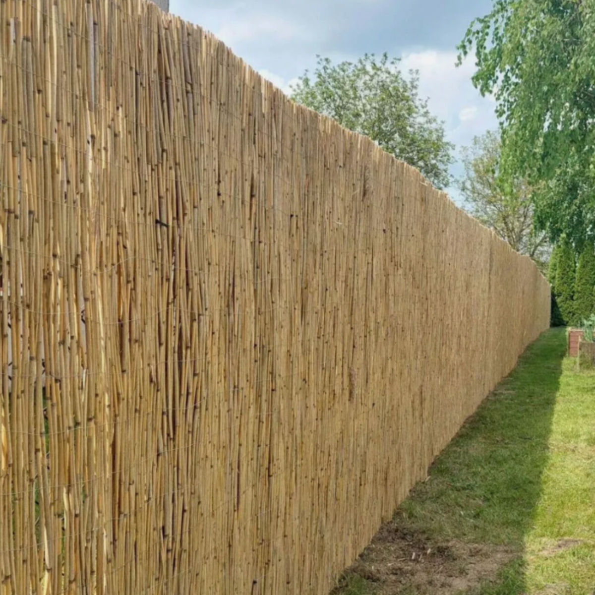 Erős Nádszövet 240 cm x 600 cm – Drótos, Sűrű Szövésű Belátásgátló Nádkerítés